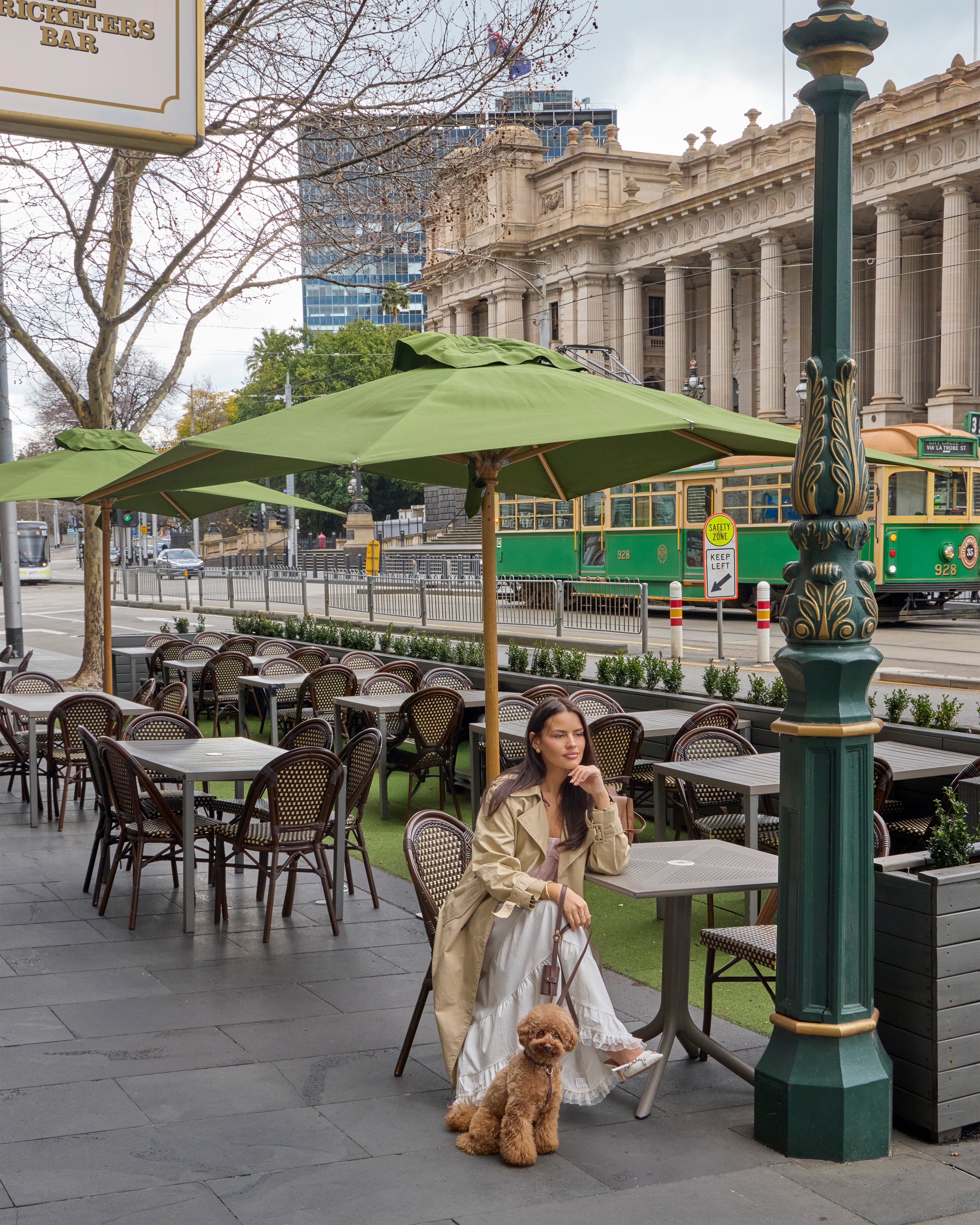 Classic Harness Set – Dark Chocolate