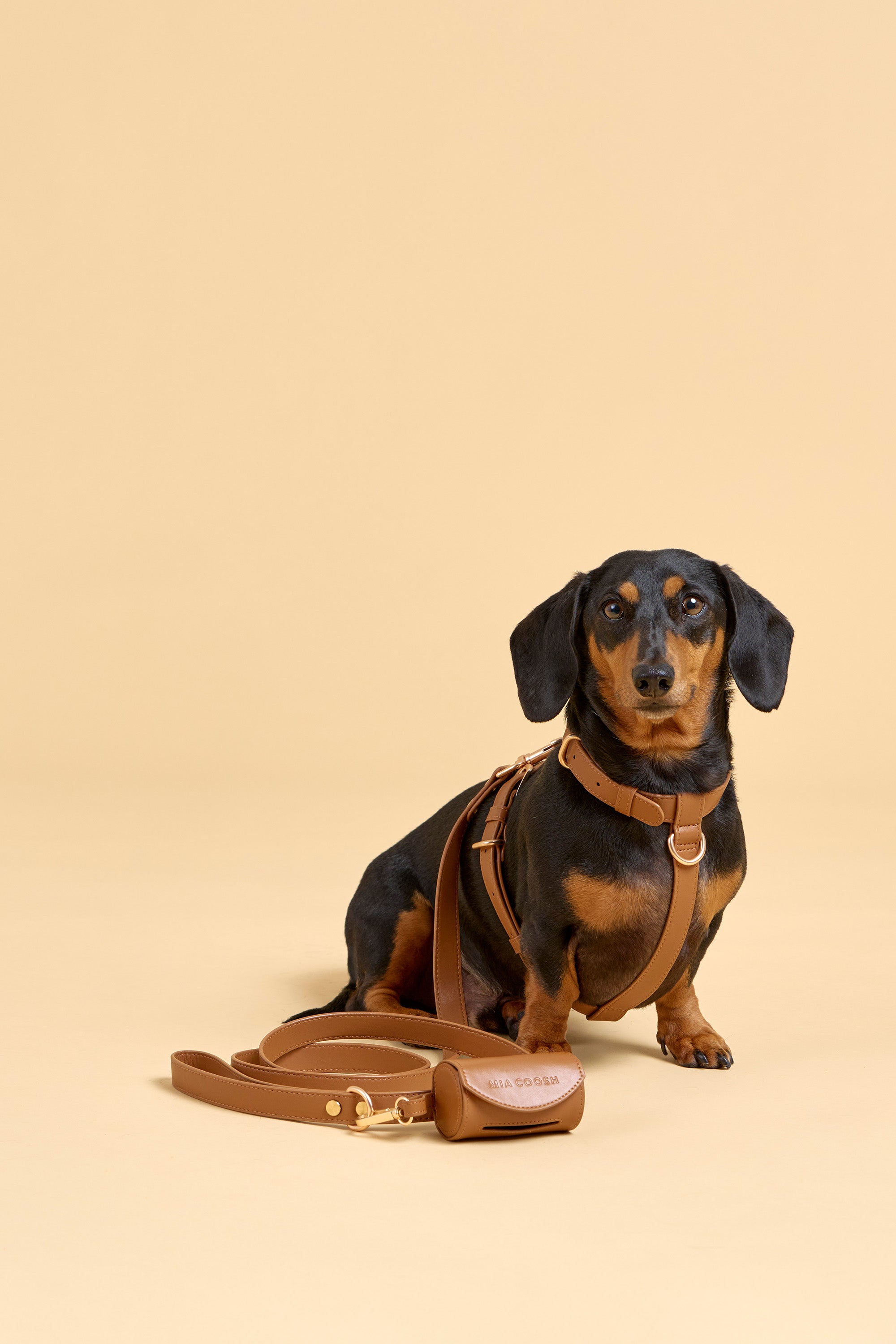 Classic Lead – Caramel Brown