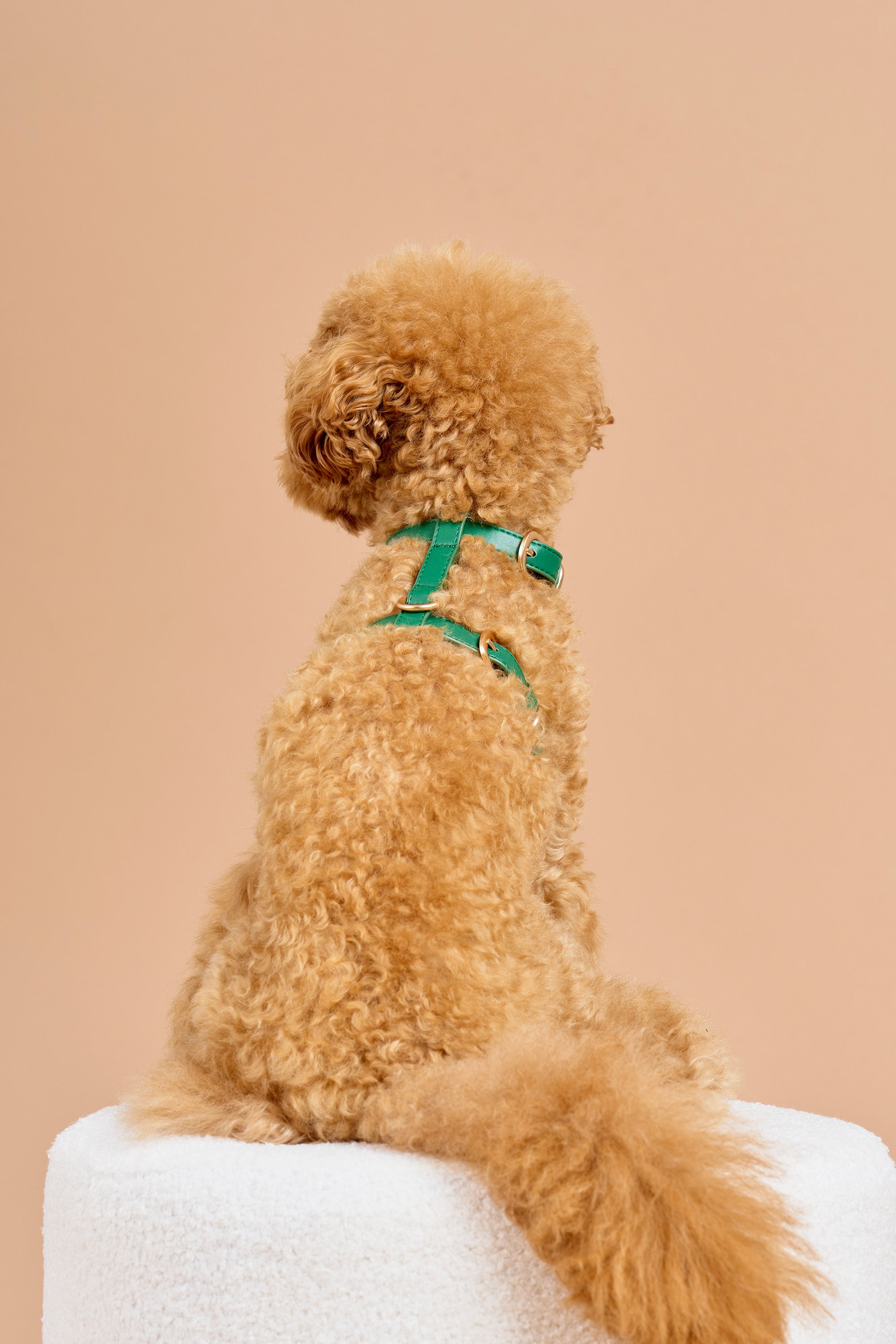 Classic Harness Set – Emerald Green