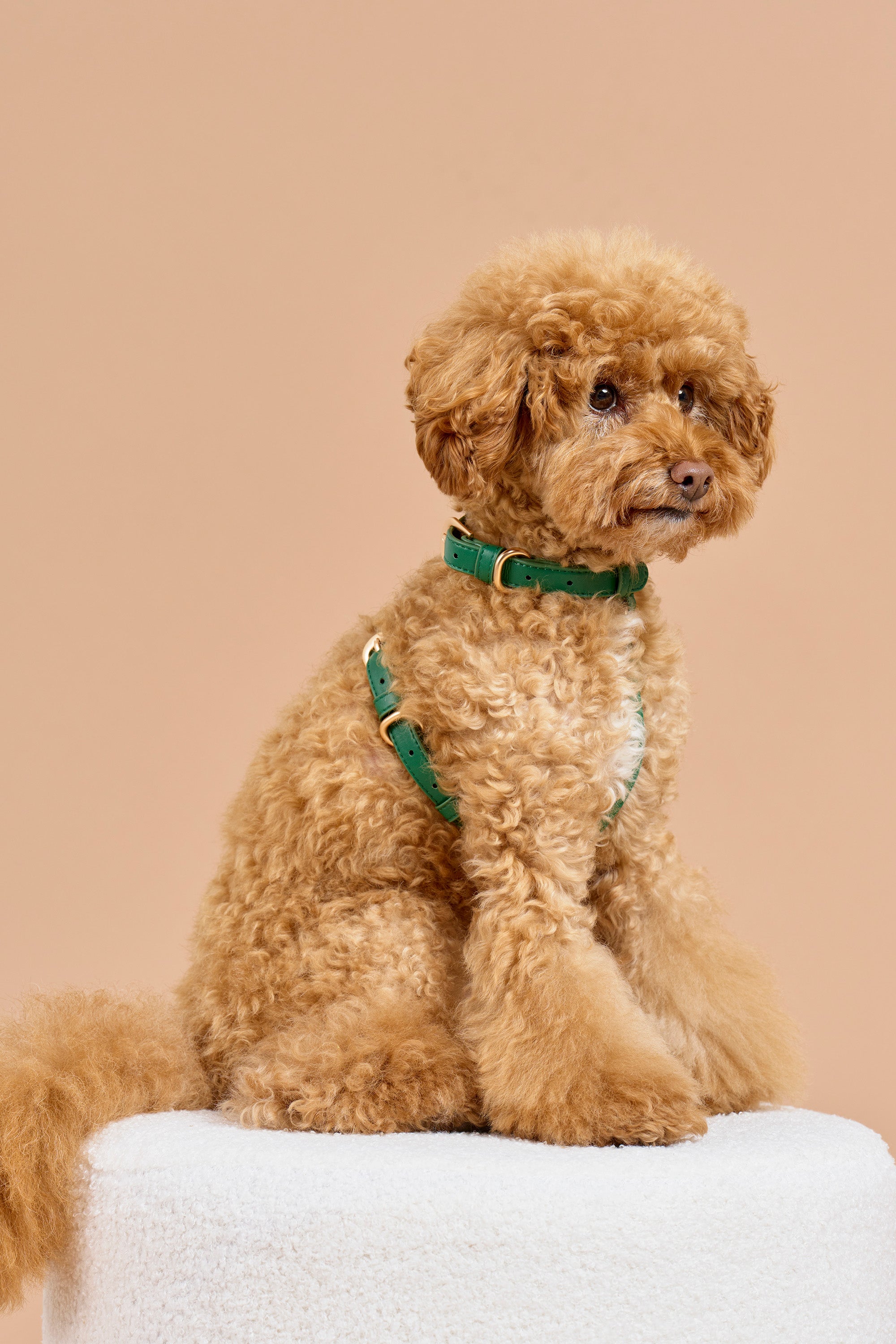 Classic Harness – Emerald Green