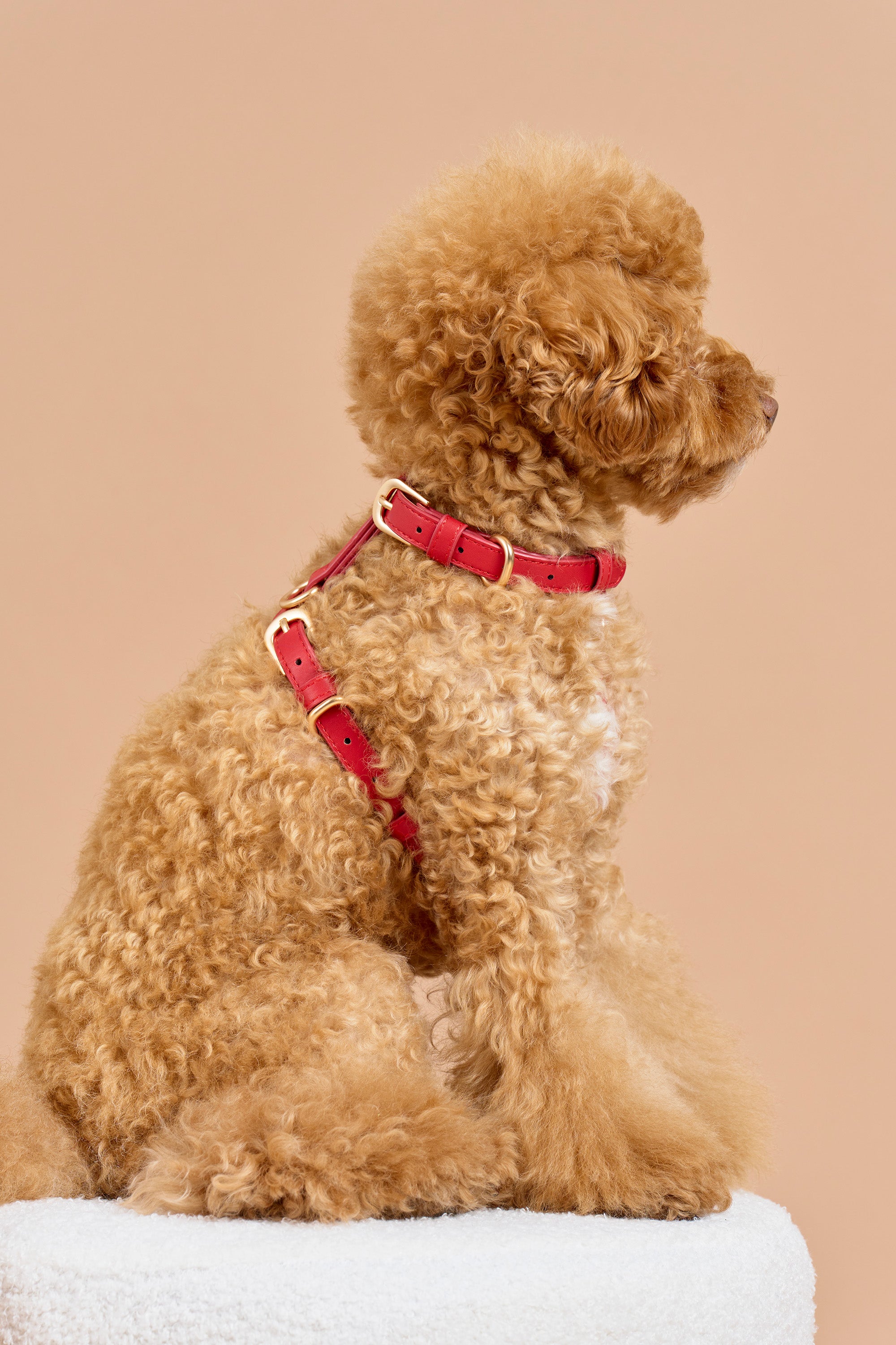 Classic Harness Set – Rouge Red