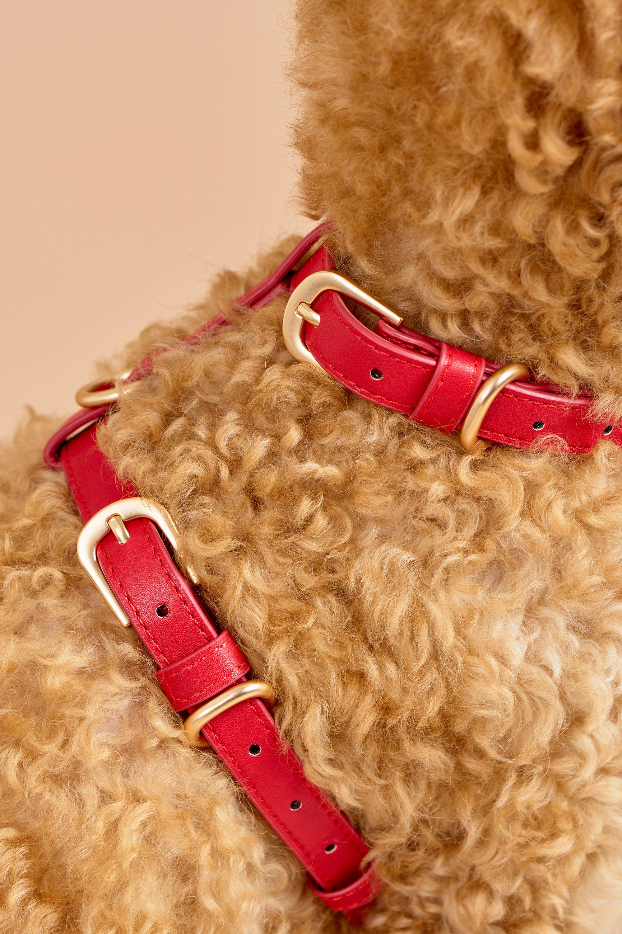 Classic Harness Set – Rouge Red