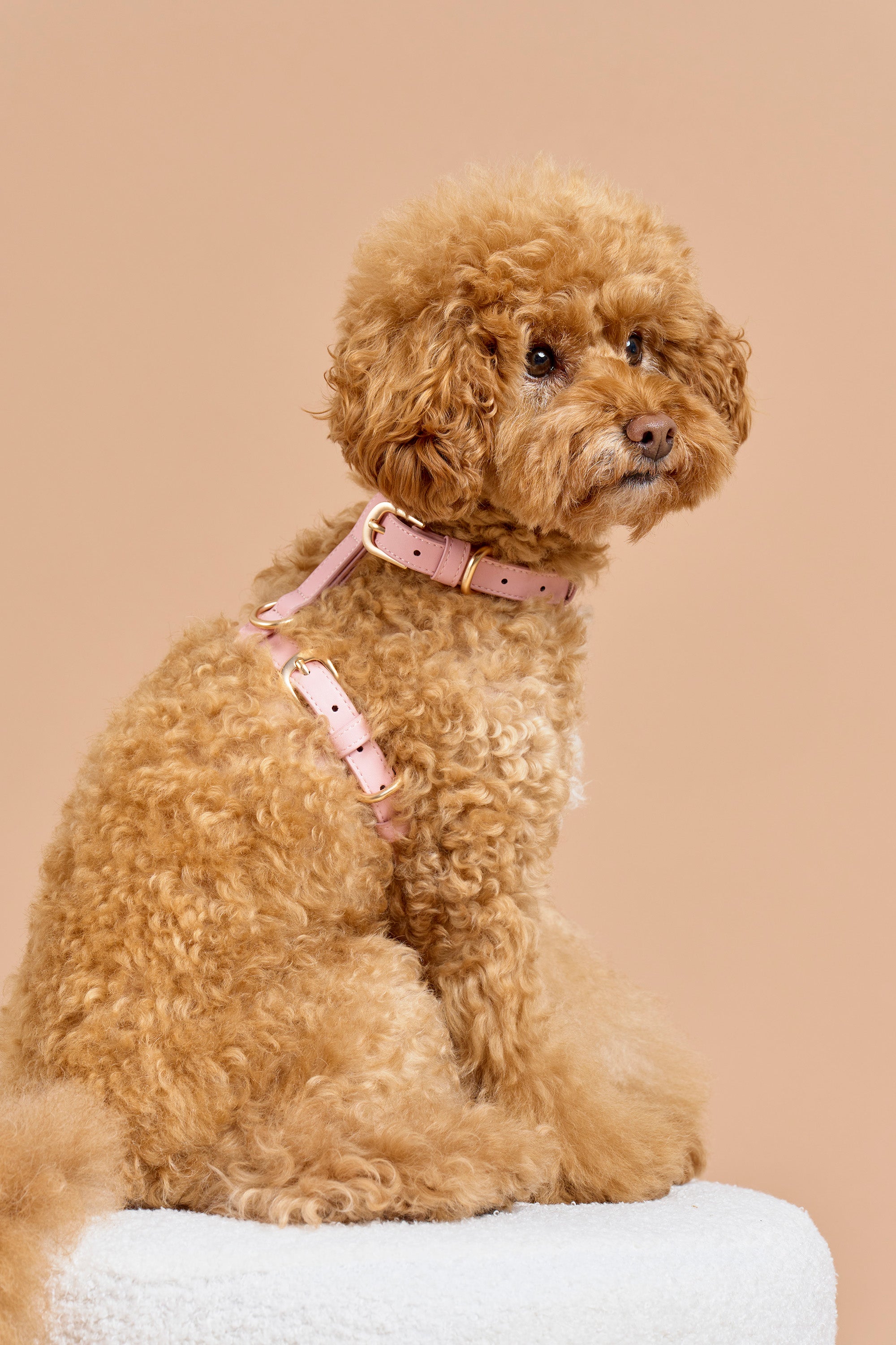 Classic Harness – Blush Pink