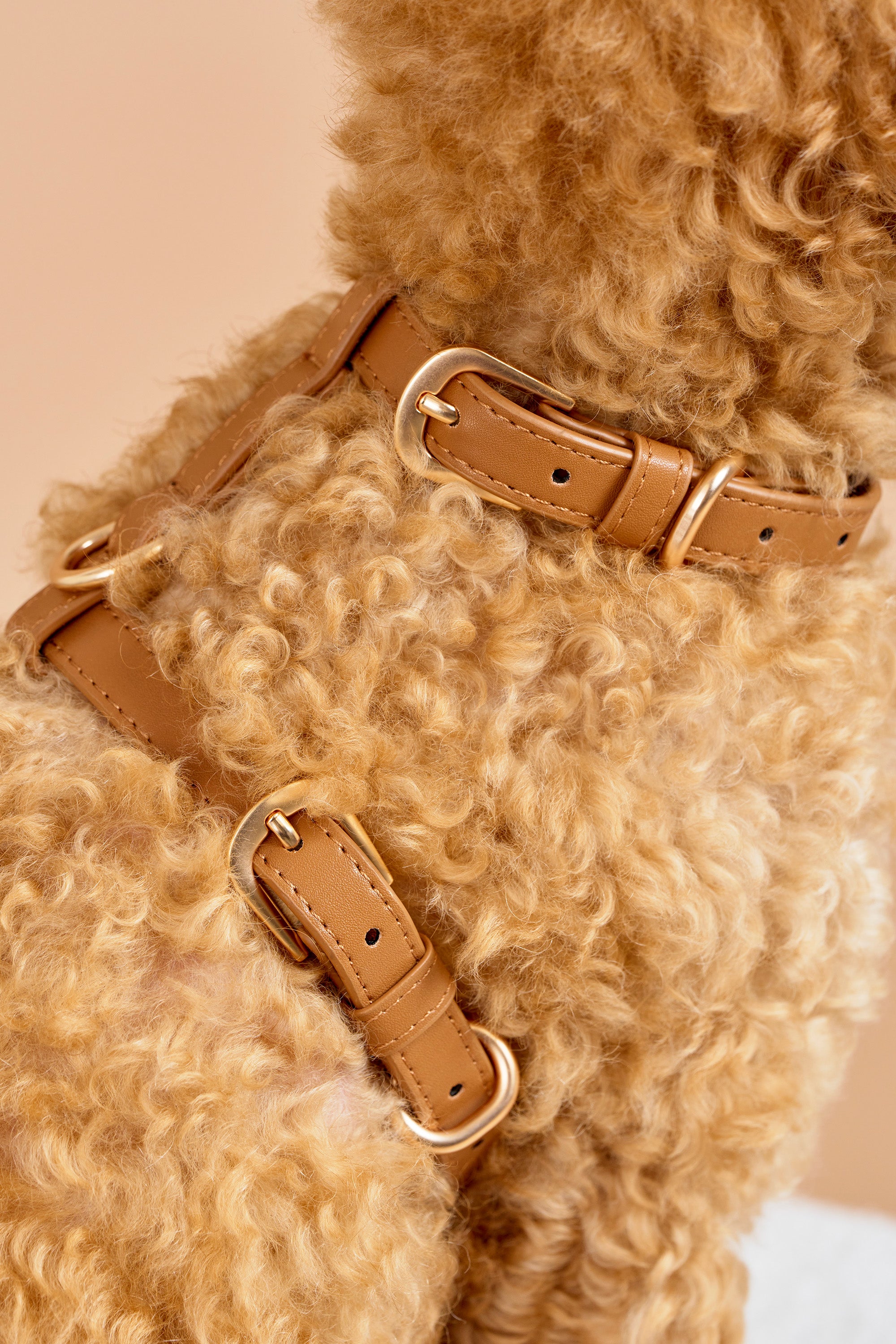 Classic Harness Set – Caramel Brown