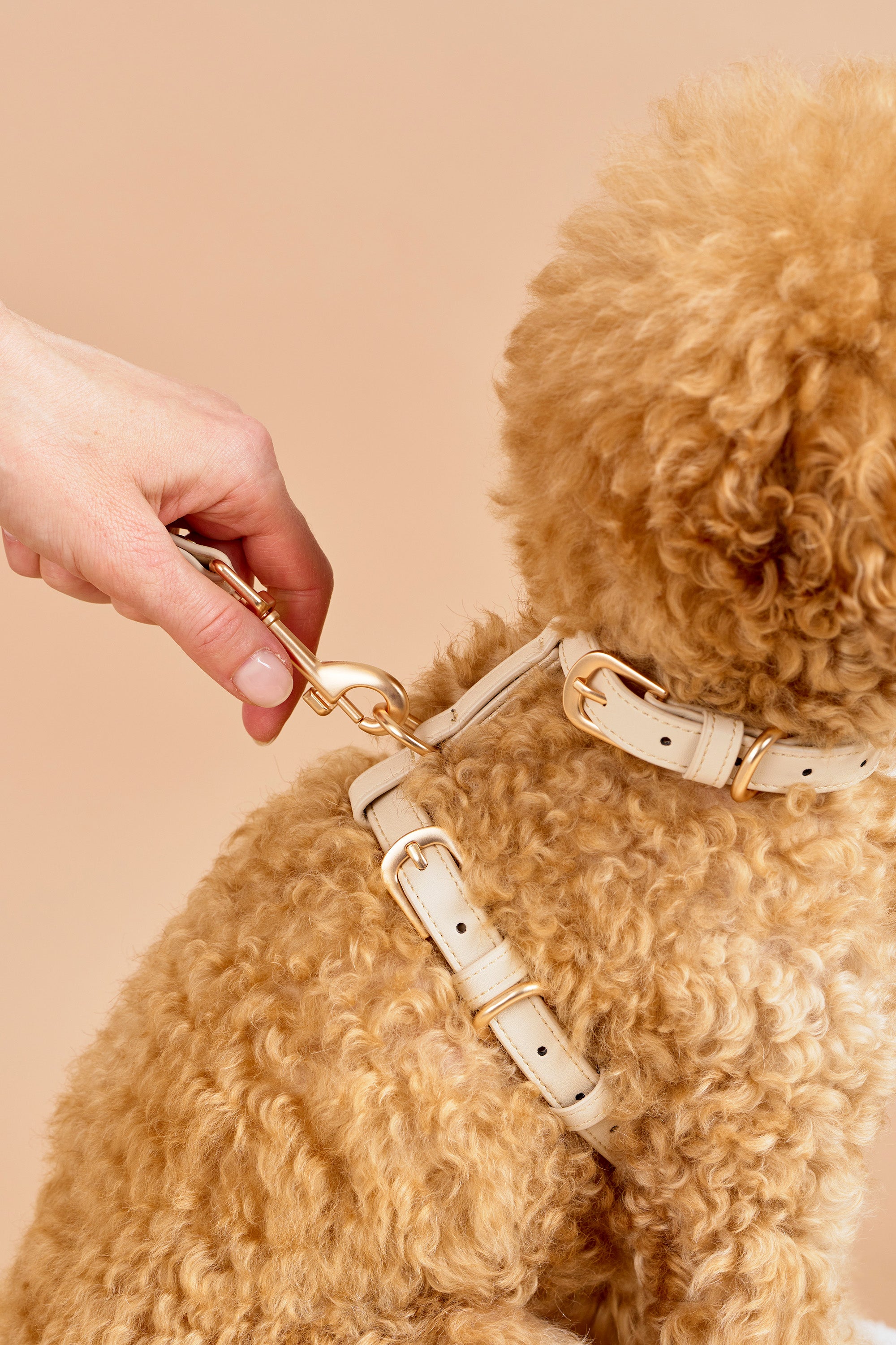 Classic Harness – Vanilla Cream