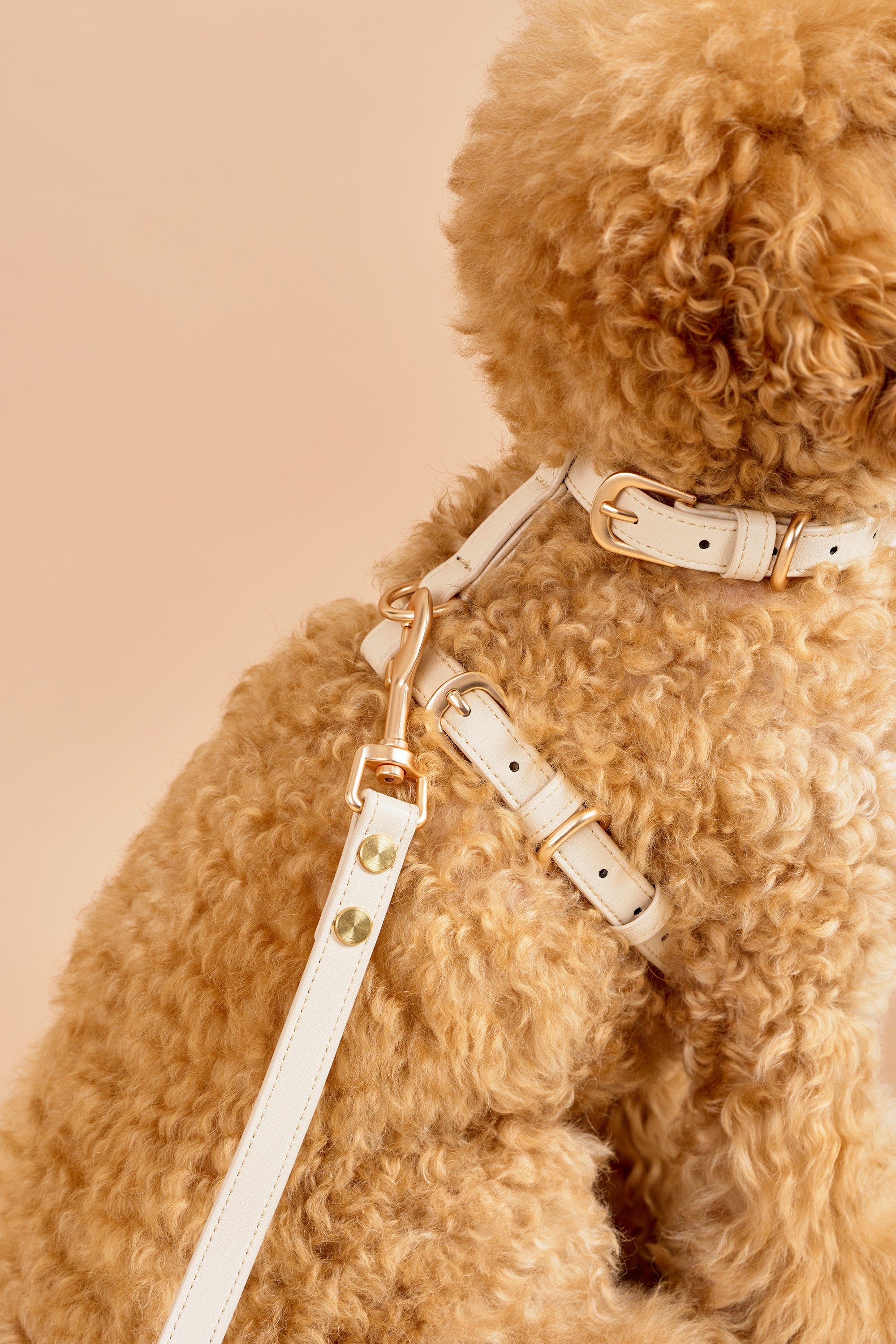 Classic Harness – Vanilla Cream