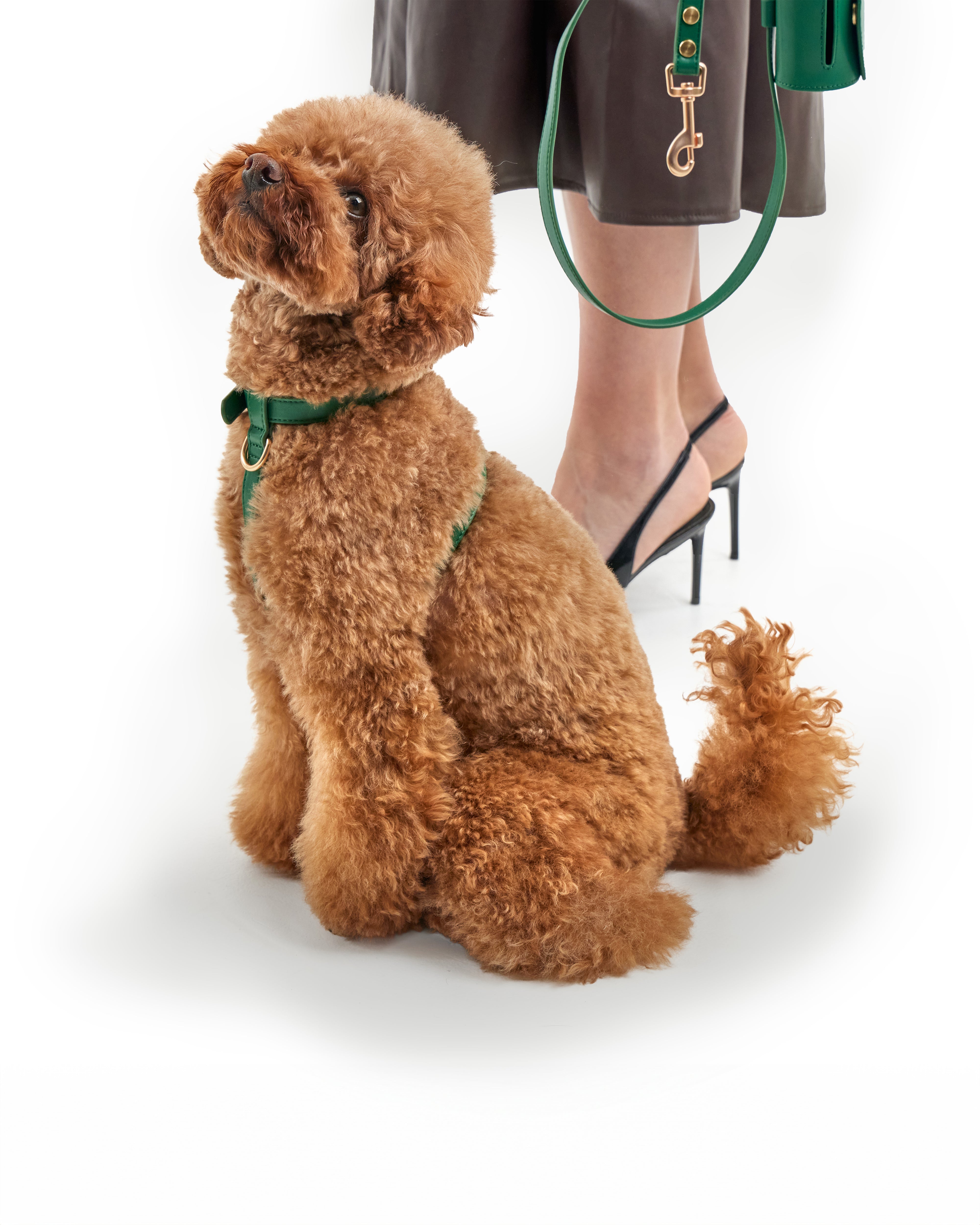 Classic Harness Set – Emerald Green