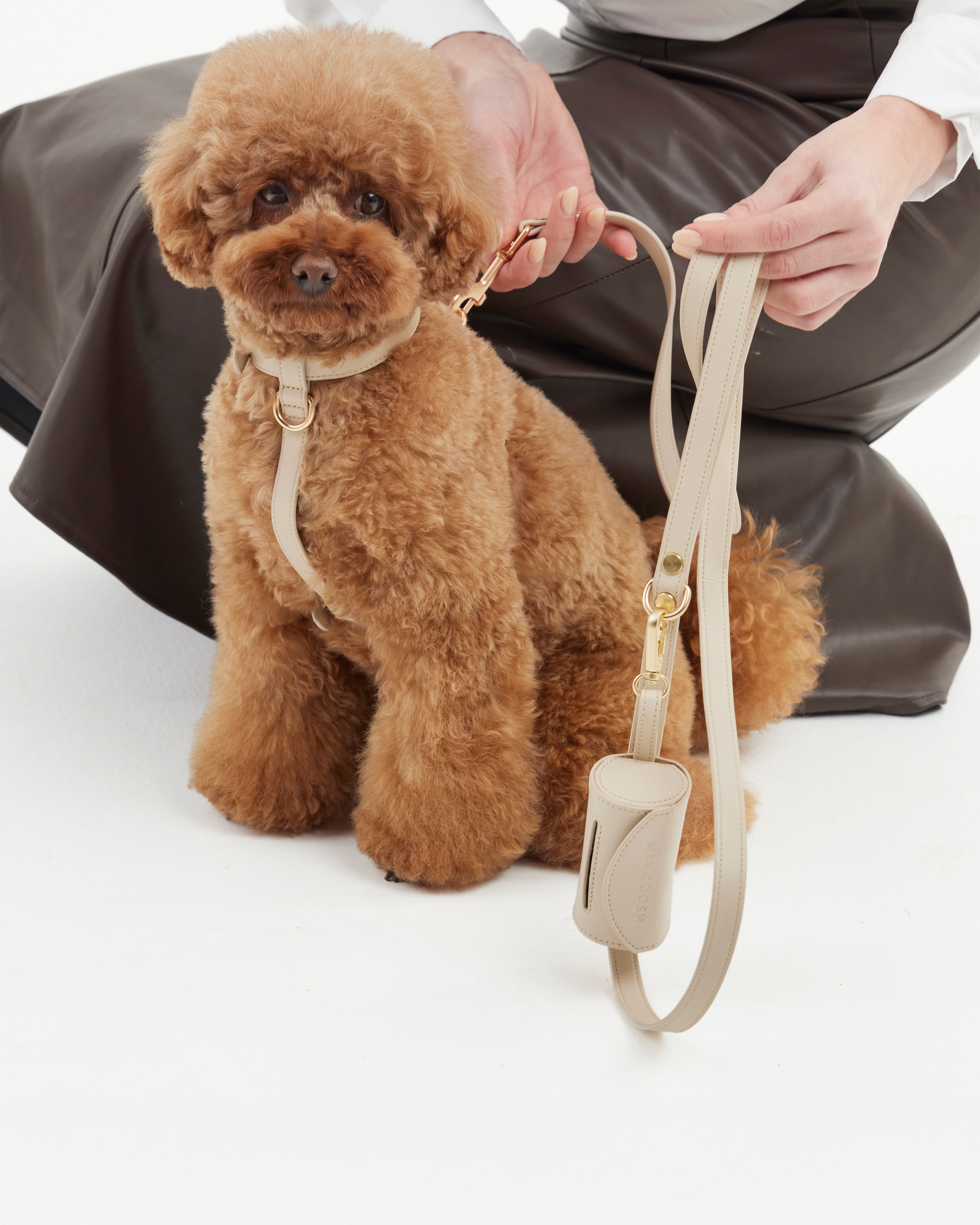 Classic Harness – Vanilla Cream