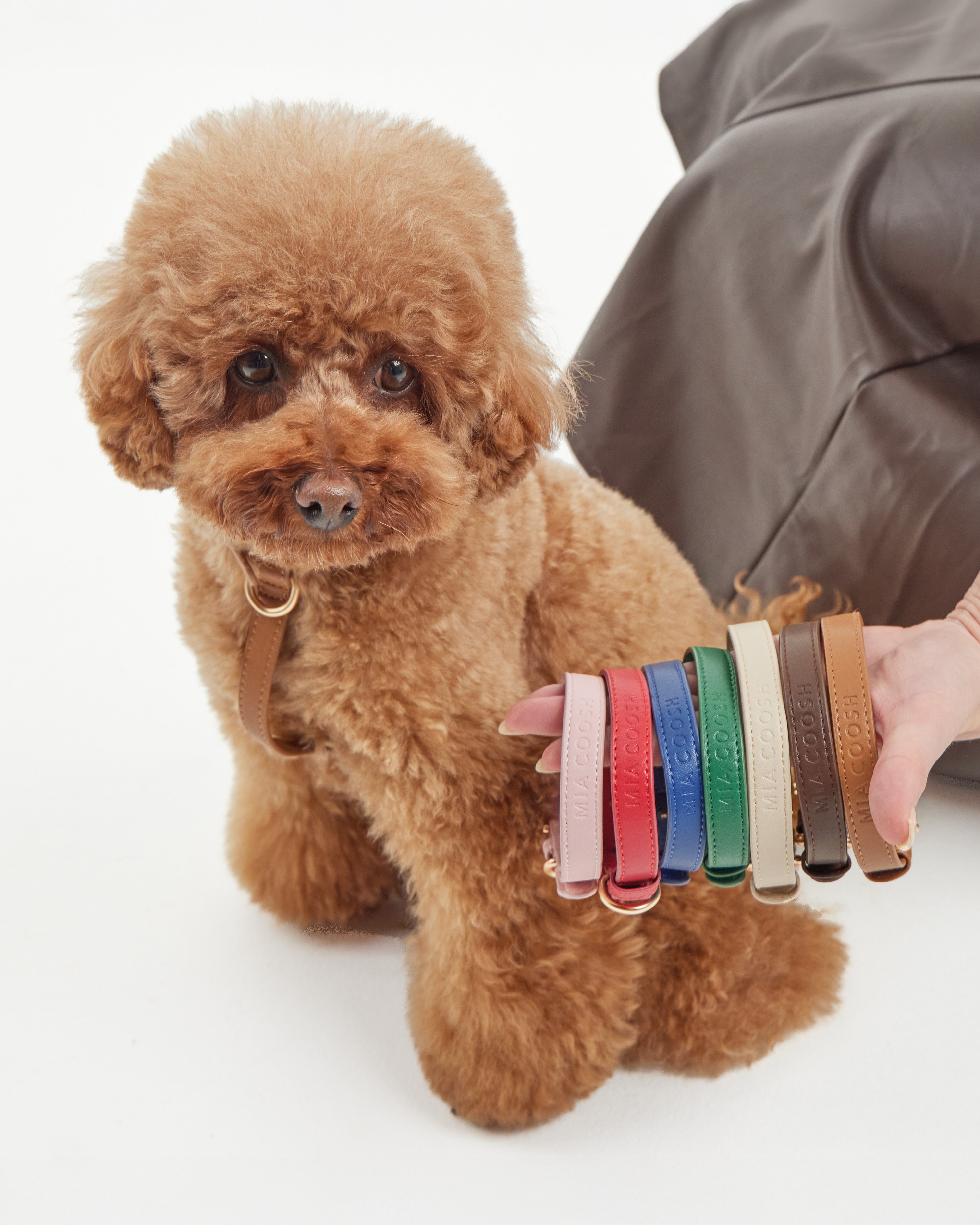 Classic Collar – Rouge Red