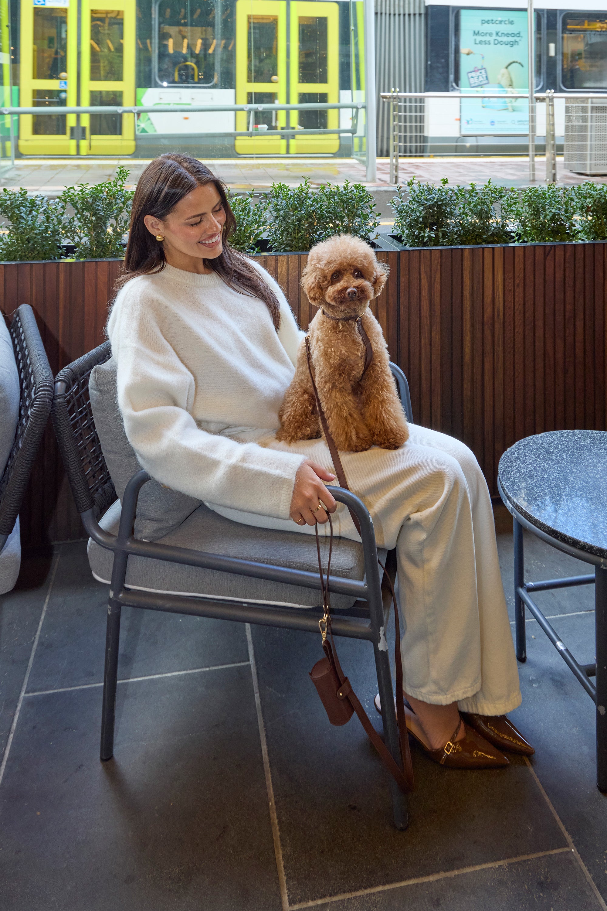 Vegan Leather Dog Harness – Dark Chocolate | MIA COOSH