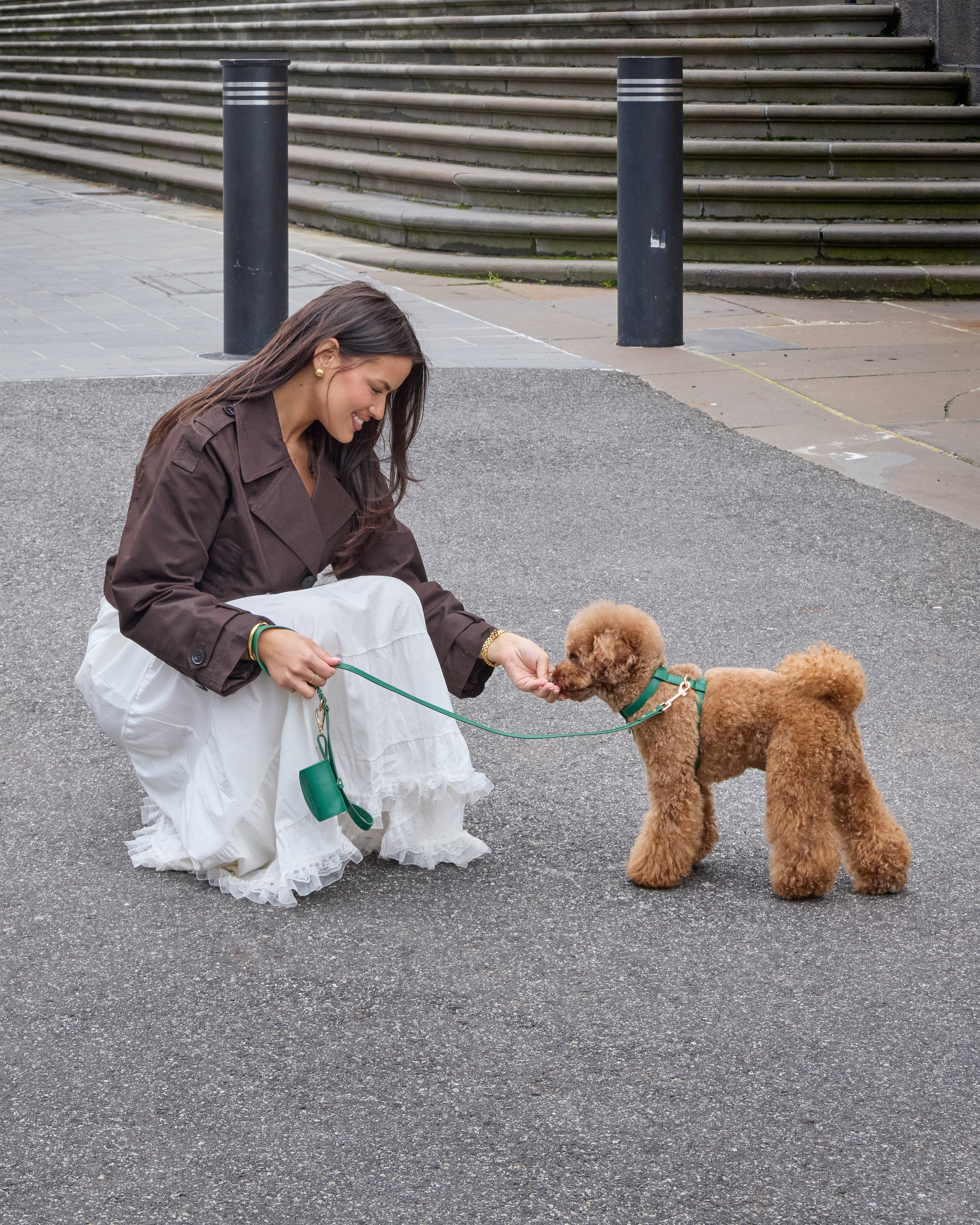 Classic Harness Set – Emerald Green