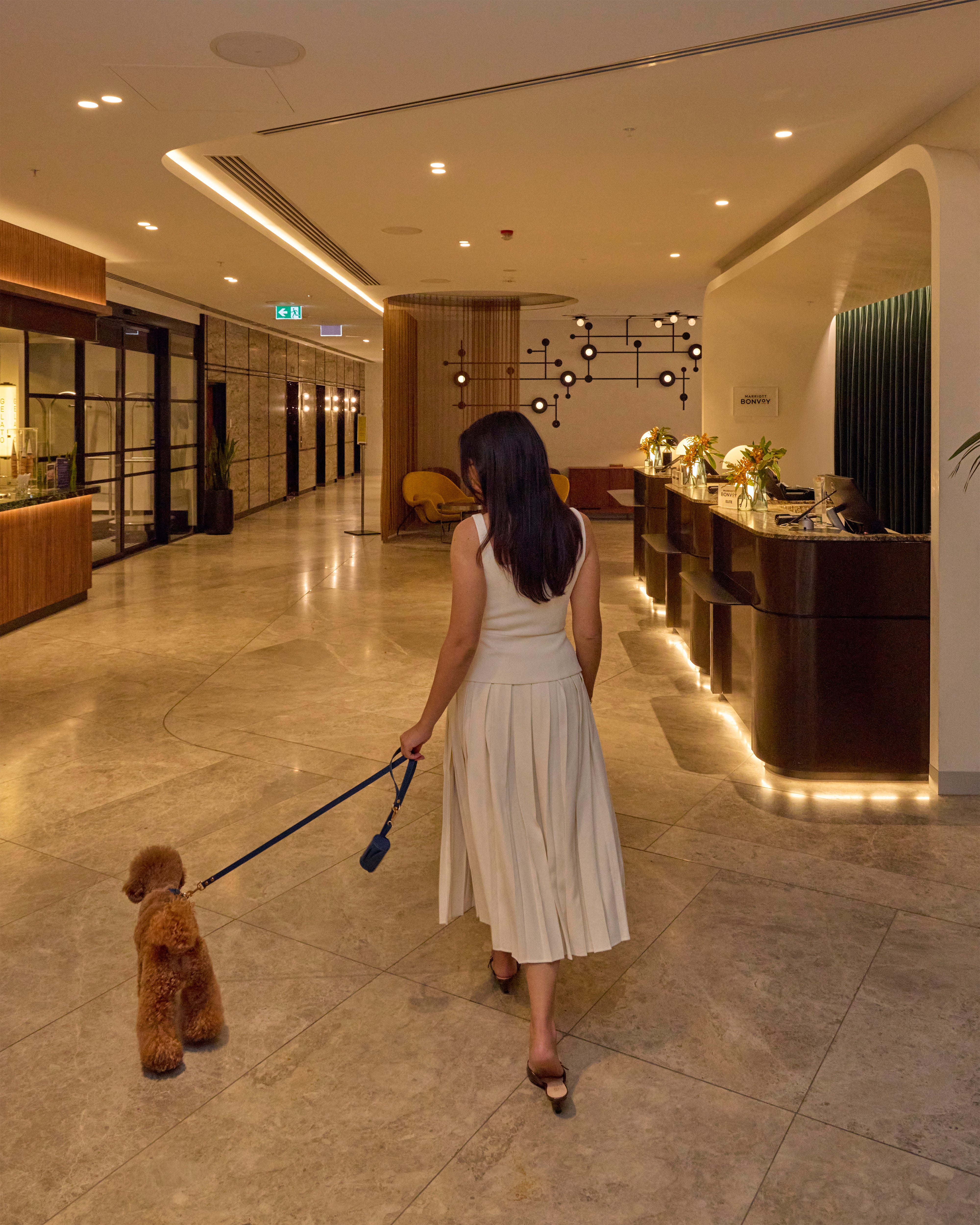 Classic Harness Set – Navy Blue