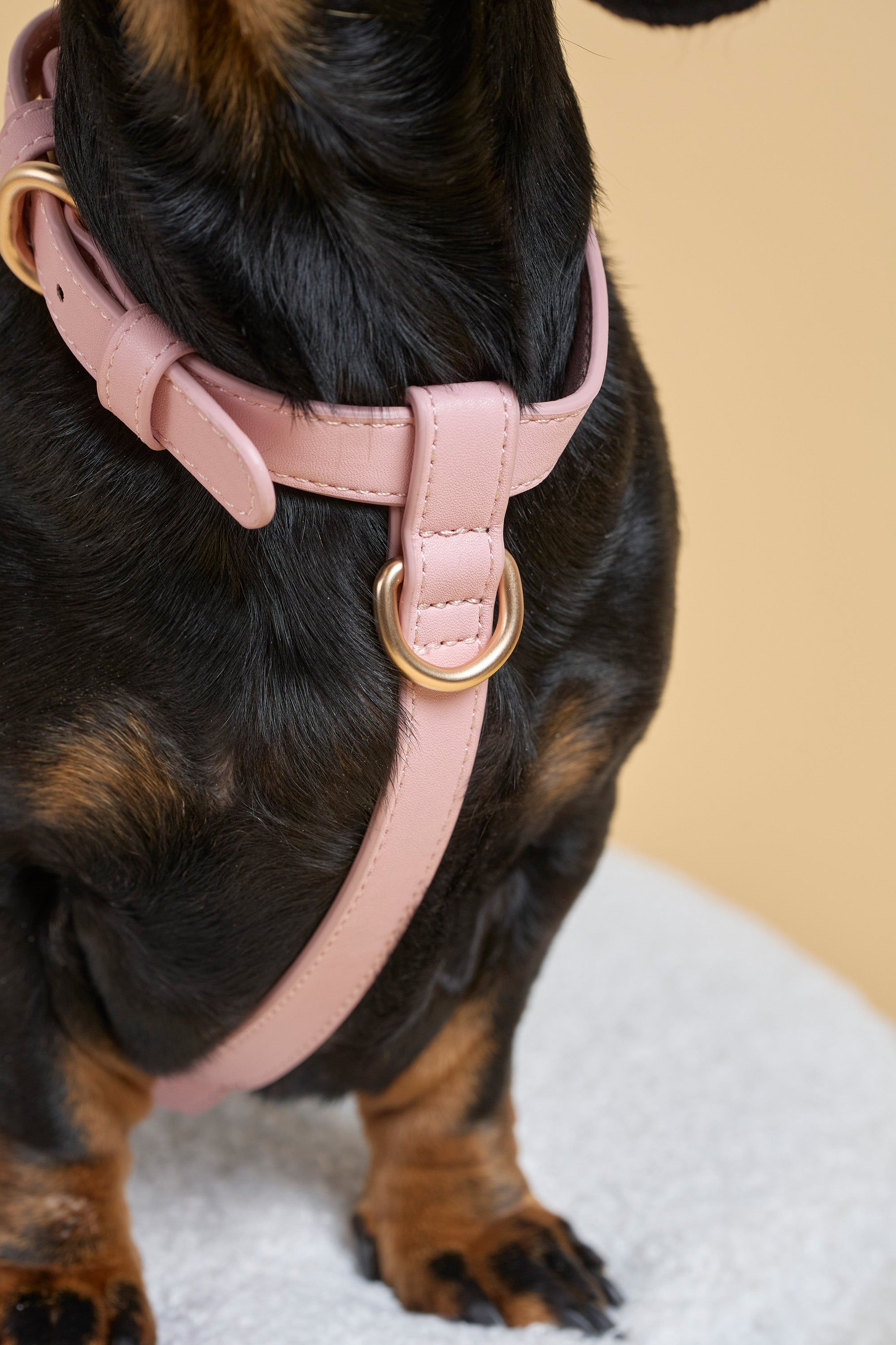Classic Harness – Blush Pink