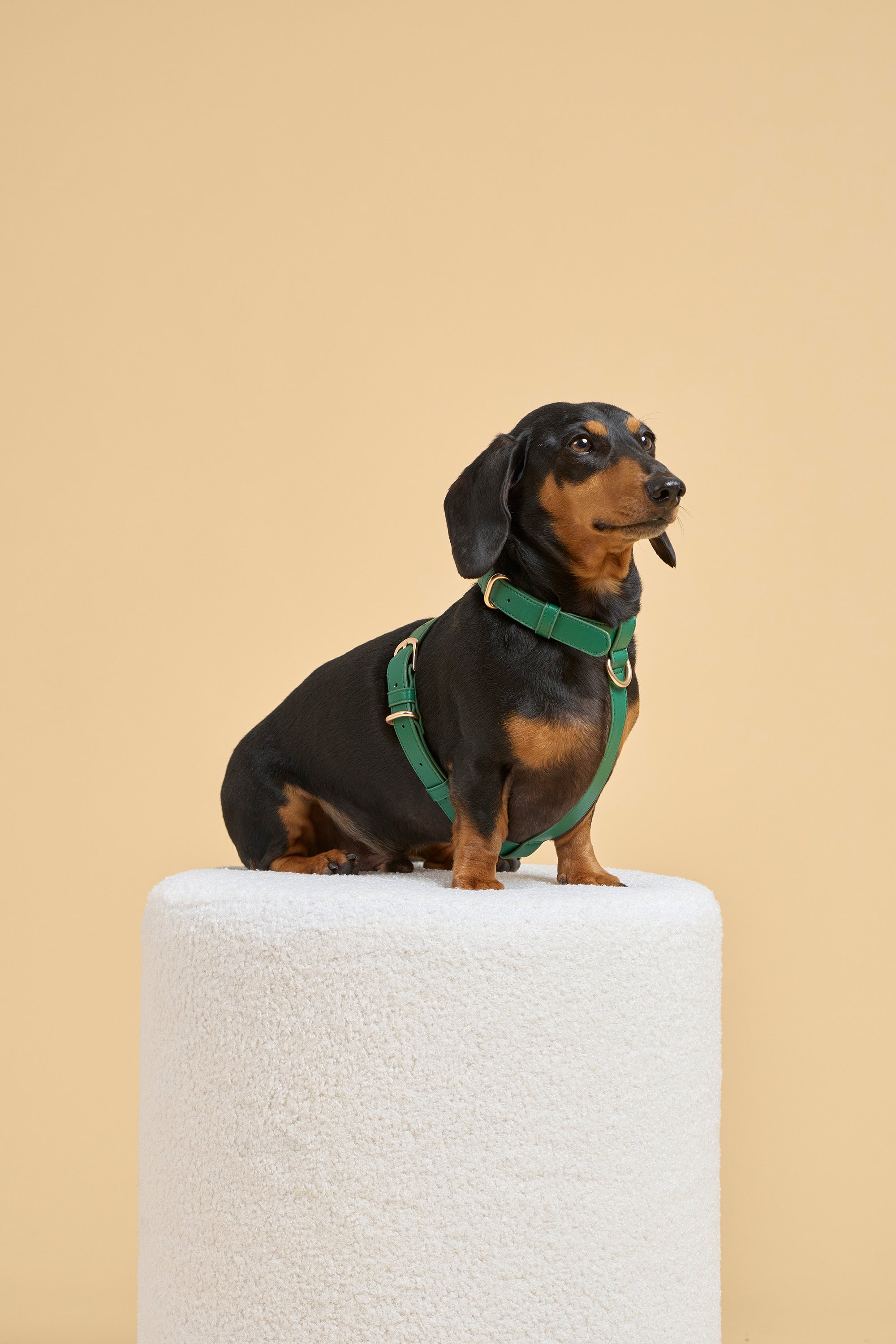 Classic Harness Set – Emerald Green