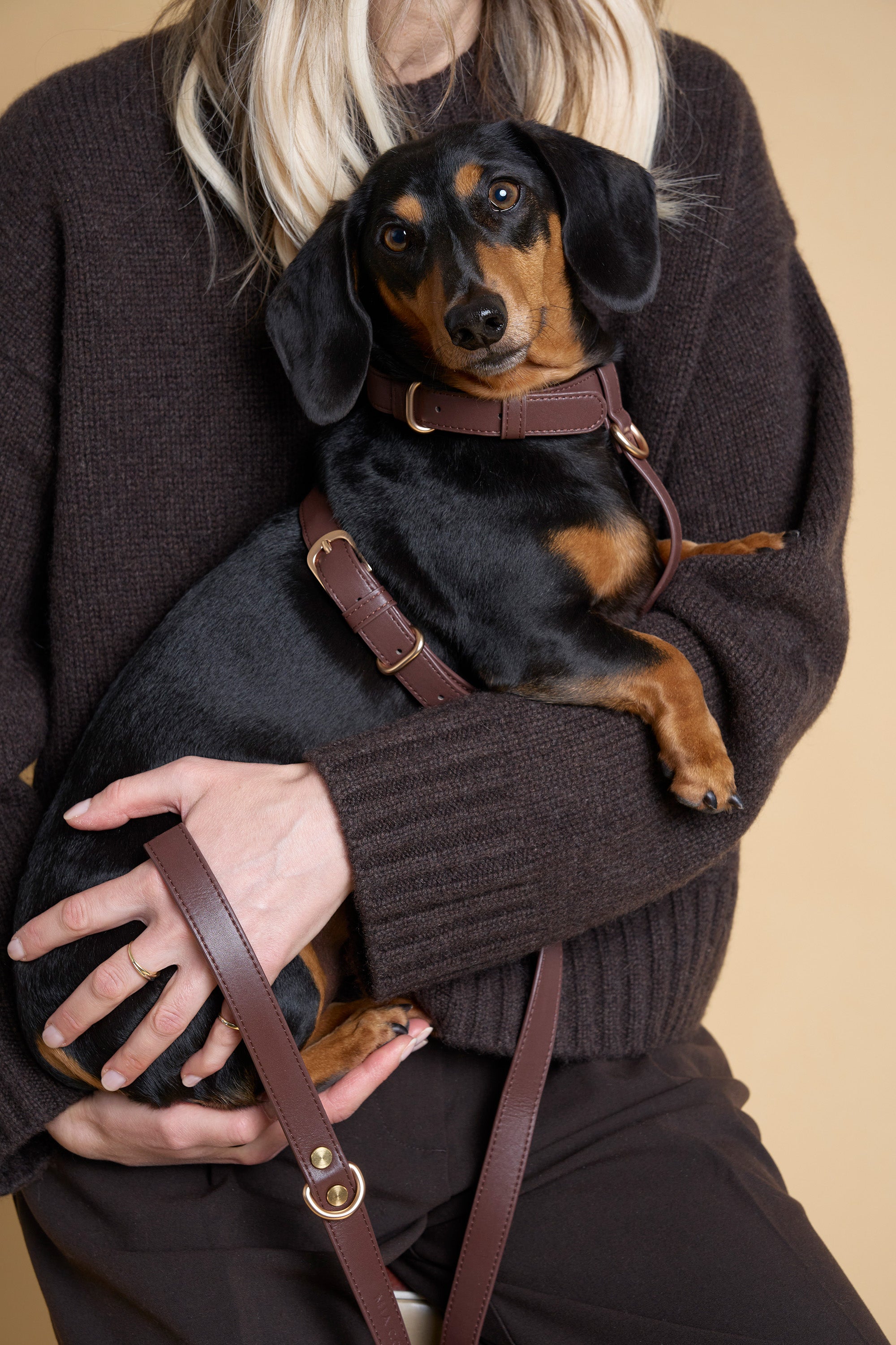 Vegan Leather Dog Harness – Dark Chocolate | MIA COOSH