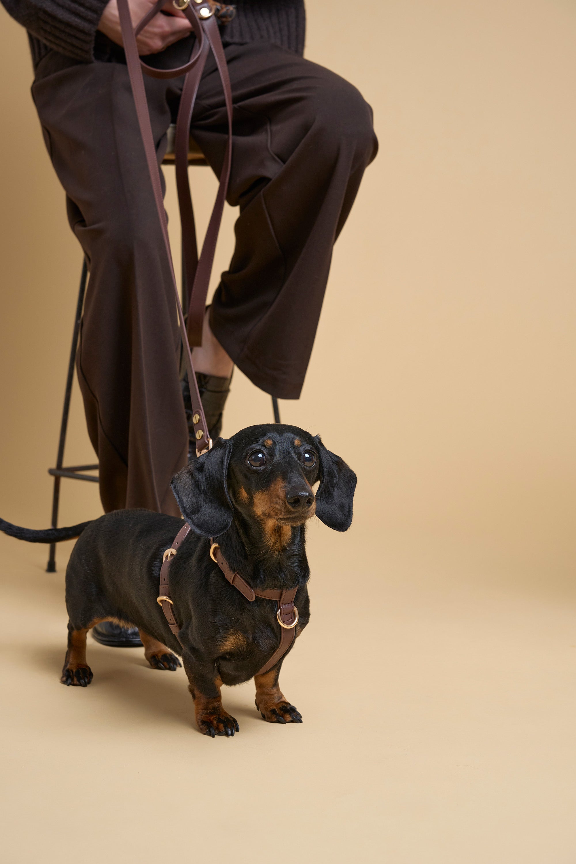 Vegan Leather Dog Harness – Dark Chocolate | MIA COOSH