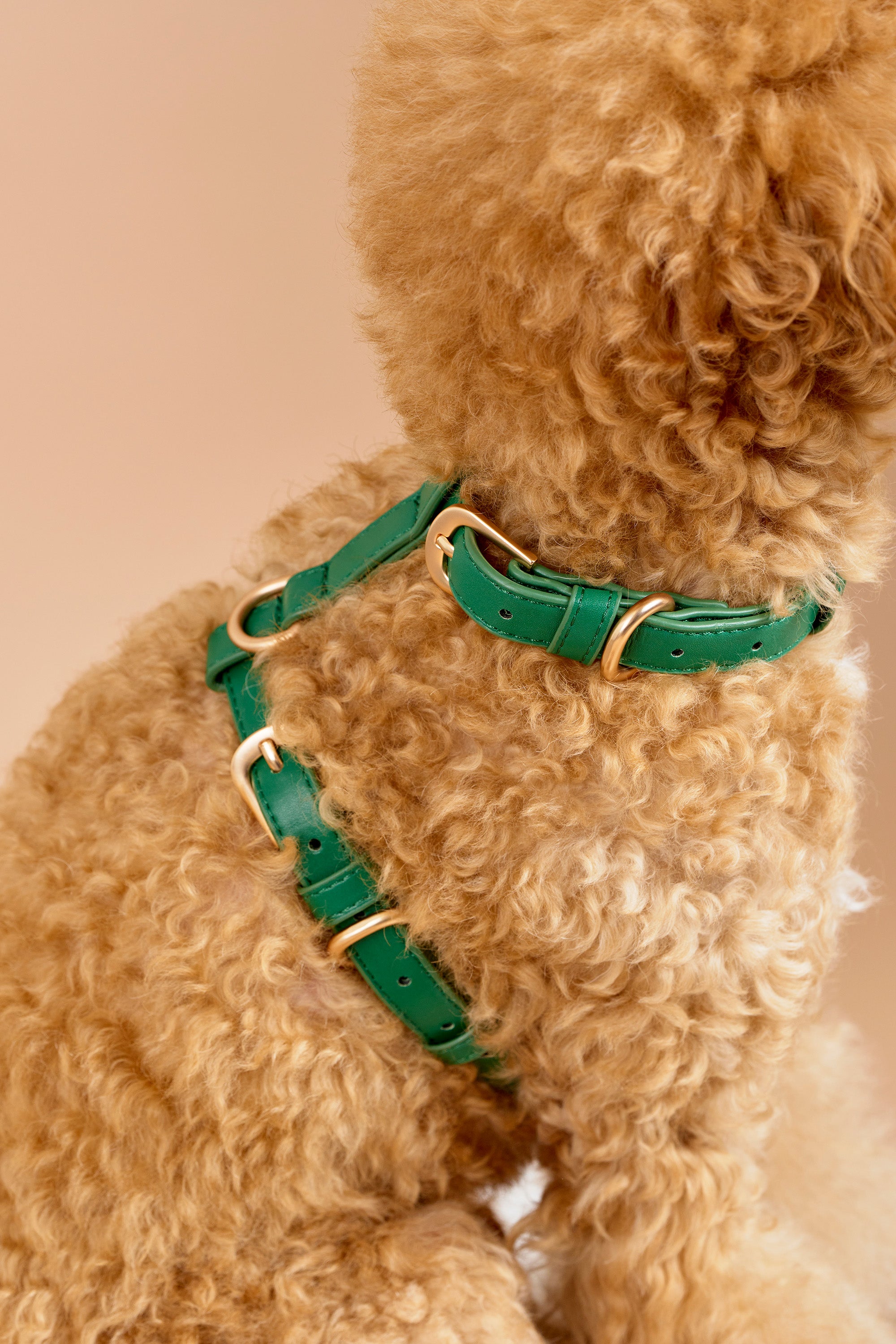 Classic Harness Set – Emerald Green