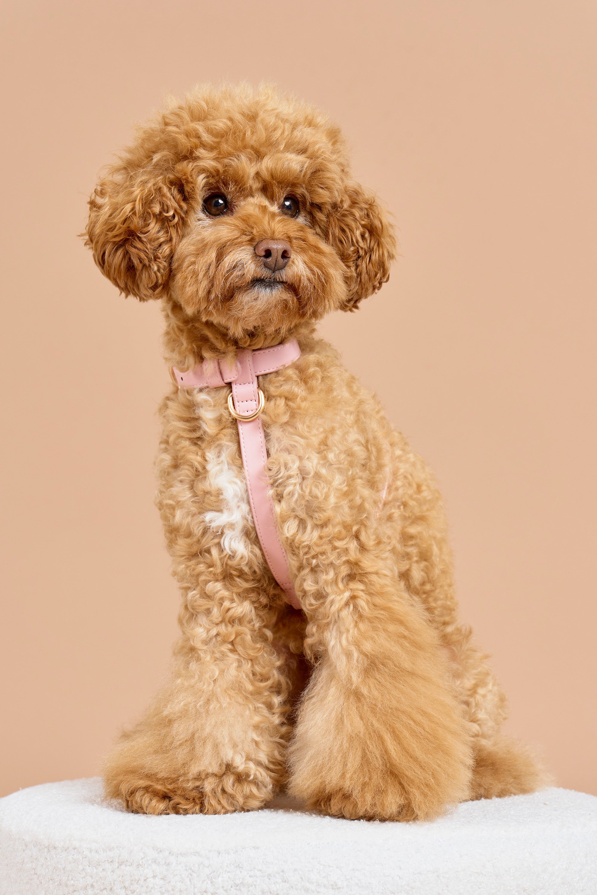 Classic Harness Set – Blush Pink
