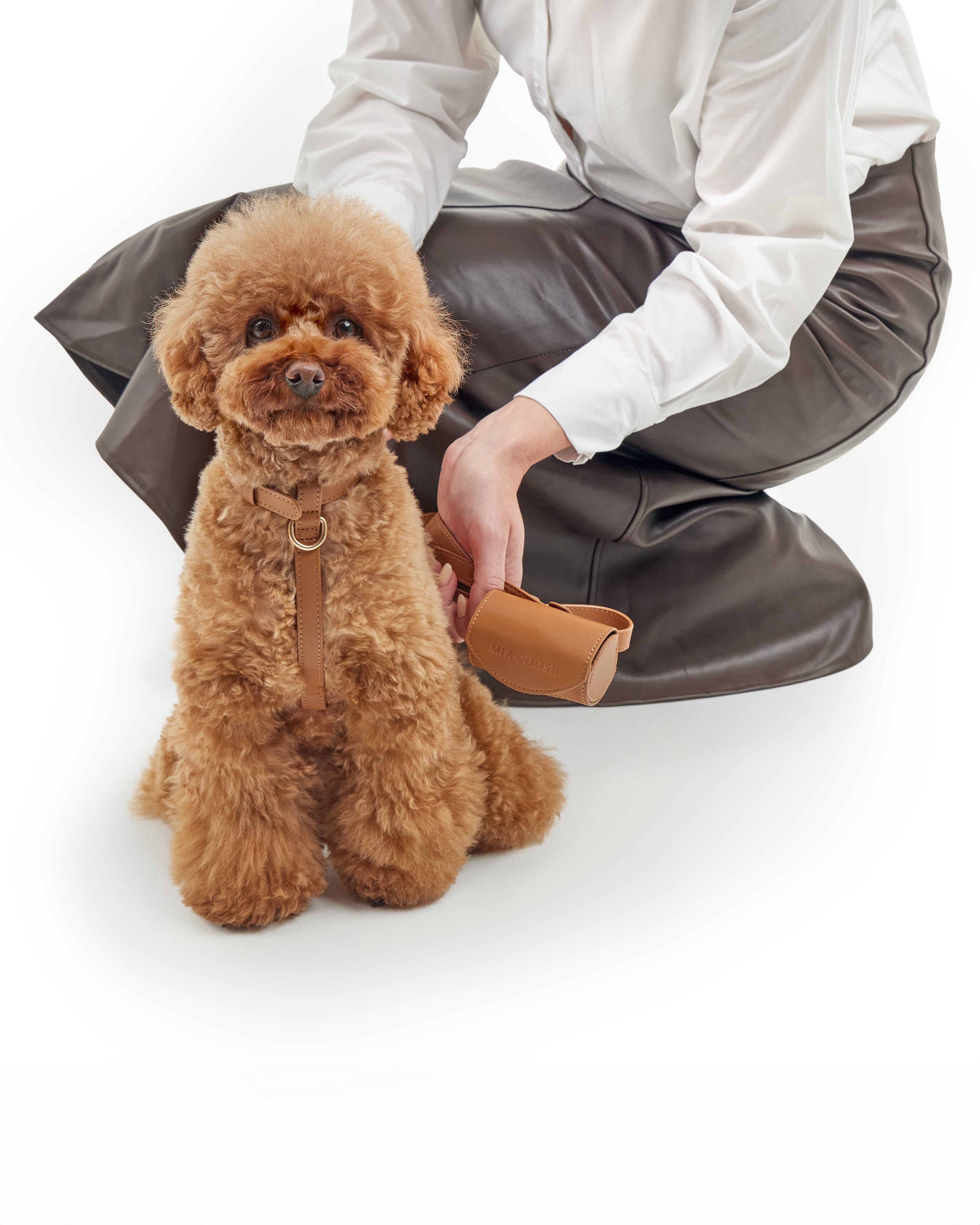 Signature Walk Set – Caramel Brown