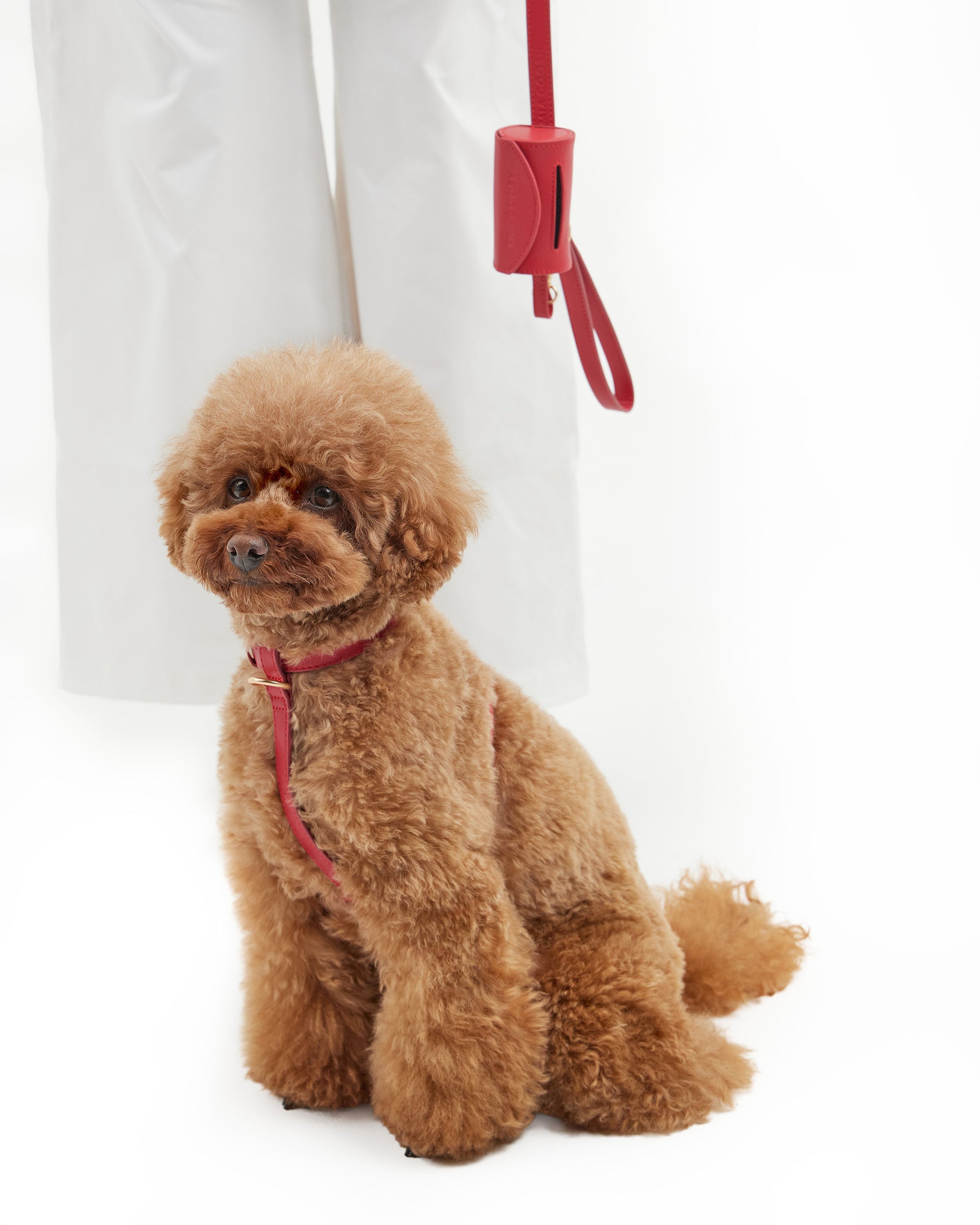 Classic Harness – Rouge Red