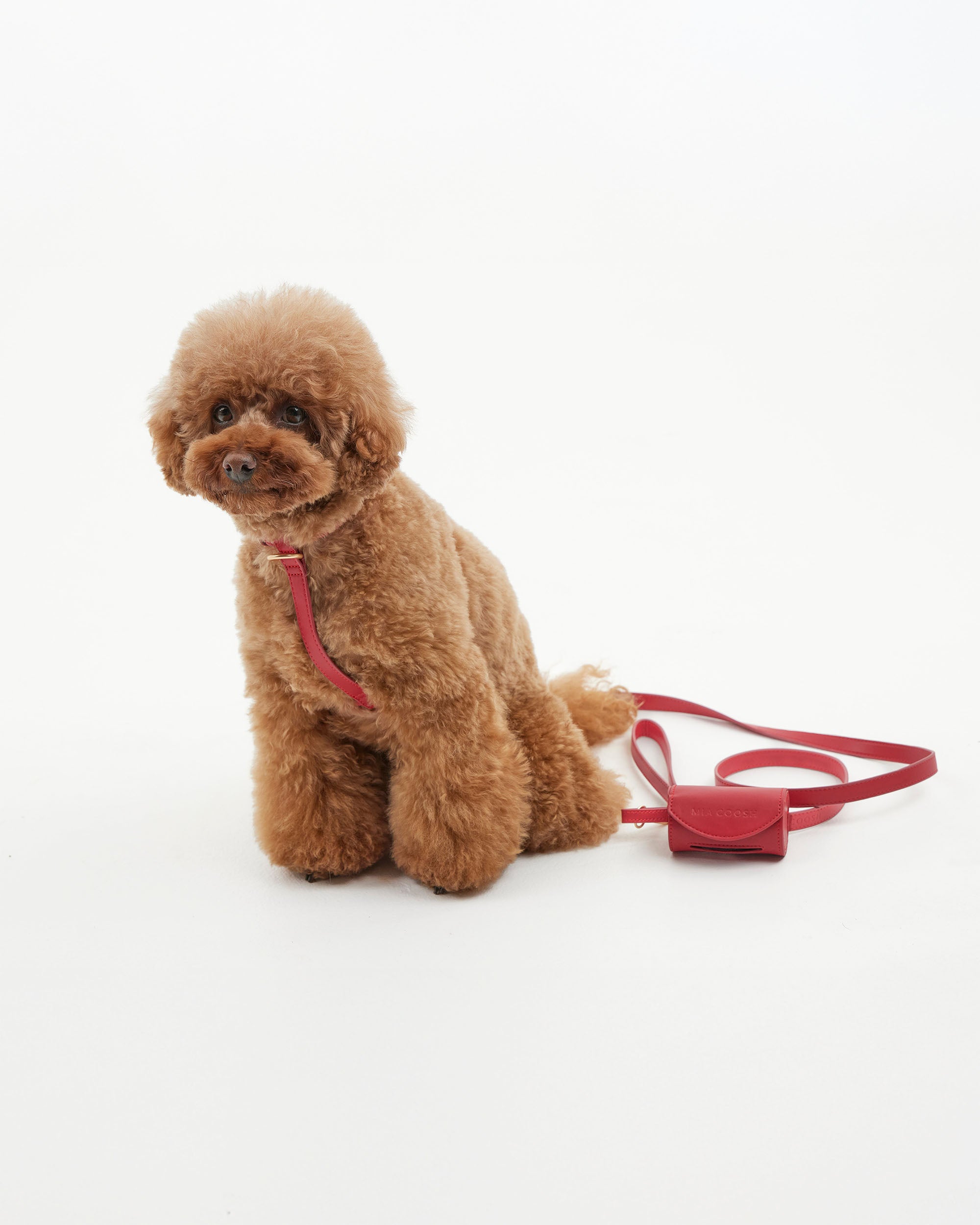 Classic Lead – Rouge Red