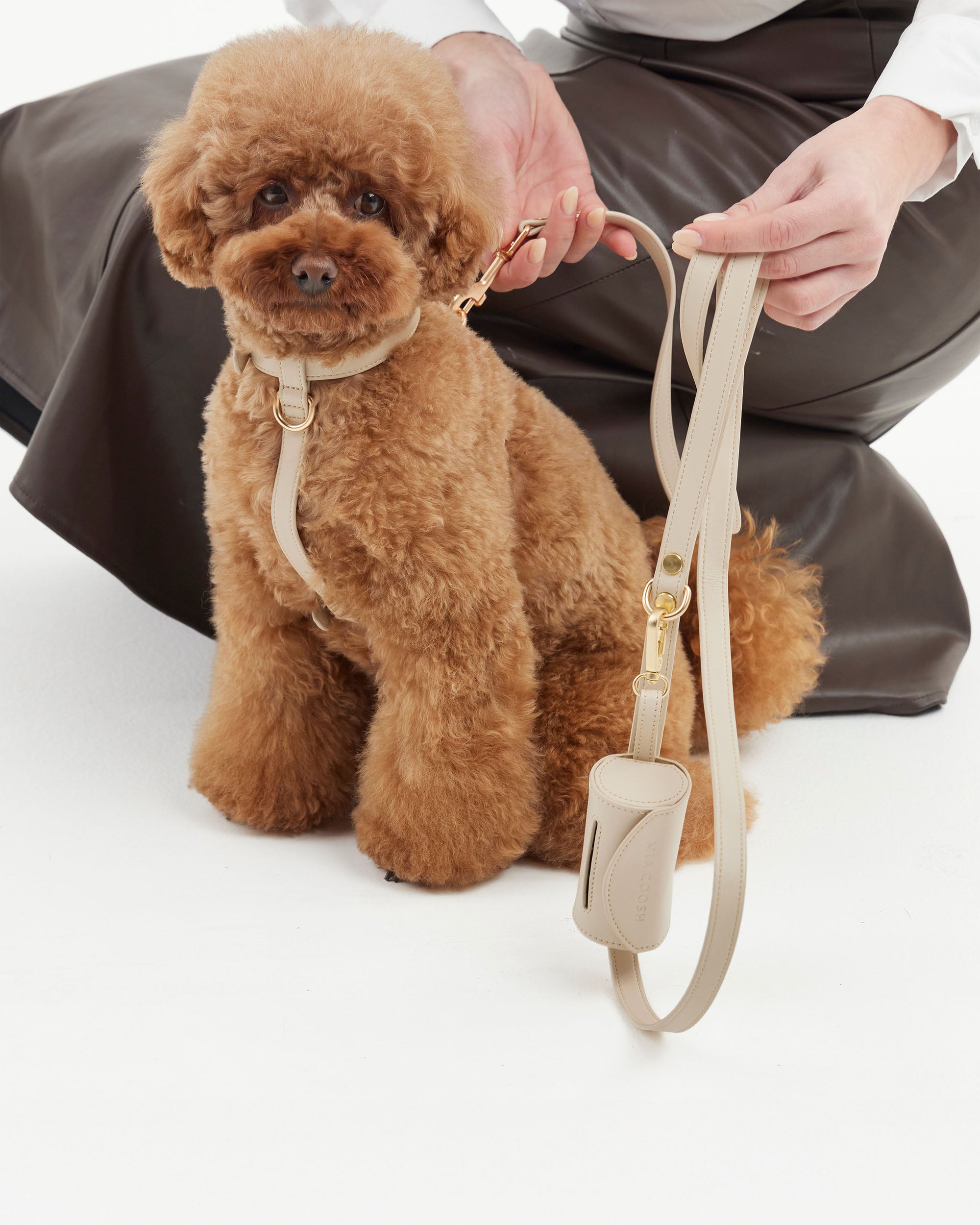 Classic Harness – Vanilla Cream